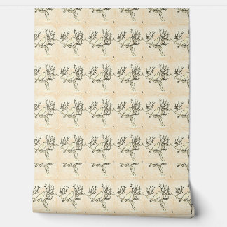 Gothic Poe By Day Wallpaper