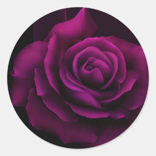 Gothic Purple-Red Rose Flower Classic Round Sticker