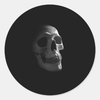 Gothic Skull Horror Goth Death Classic Round Sticker