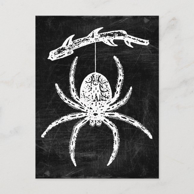 Gothic Spider Hanging From Branch Postcard (Front)