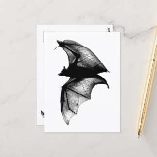 Gothic Vampire Bats Postcard