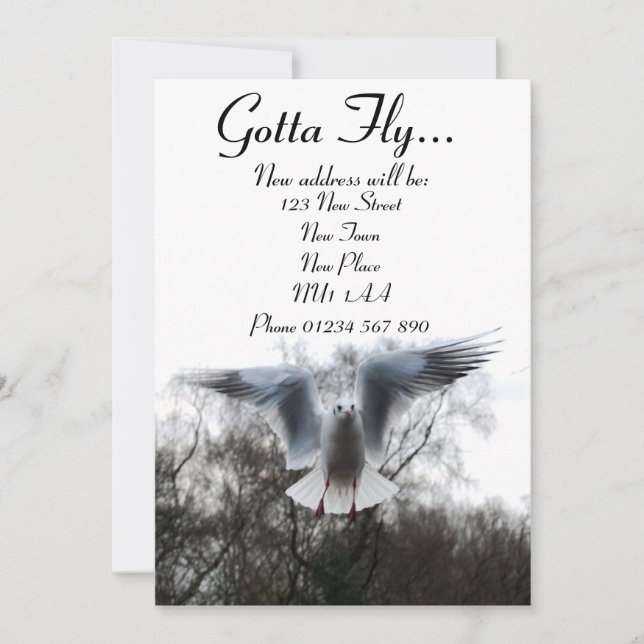 Gotta Fly - New Address Cards (Front)