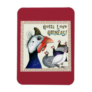 Gotta Love Guineas! Magnet