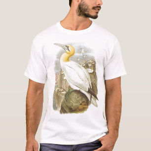 Gould - Gannet - Sula bassana T-Shirt