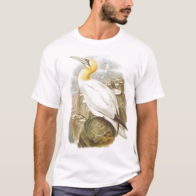 Gould - Gannet - Sula bassana T-Shirt (Front)