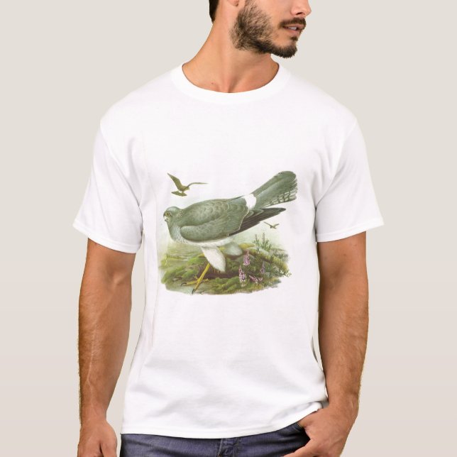 Gould - Hen Harrier - Circus cyaneus T-Shirt (Front)