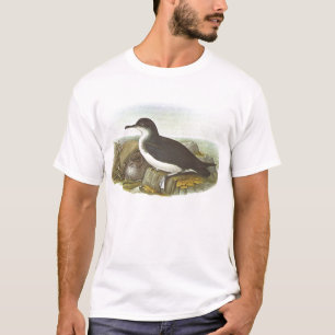Gould - Manx Shearwater - Procellaria puffinus T-Shirt