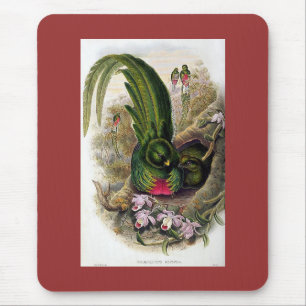 Gould - Quetzal Mouse Mat