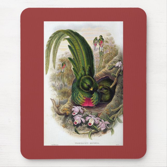 Gould - Quetzal Mouse Mat (Front)