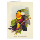 Gould - Red-Breasted Toucan