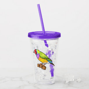 Gouldian finch bird cartoon illustration acrylic tumbler