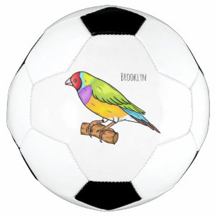 Gouldian finch bird cartoon illustration football