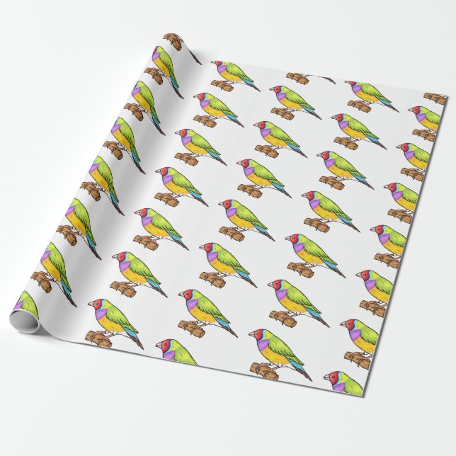 Gouldian finch bird cartoon illustration wrapping paper (Unrolled)