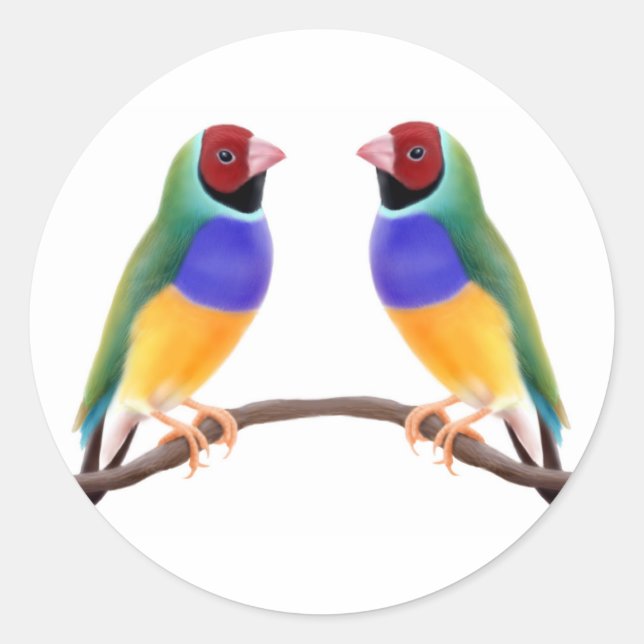 Gouldian Finch Friends Classic Round Sticker (Front)