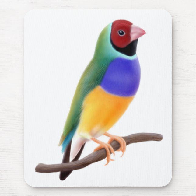 Gouldian Finch Mousepad (Front)