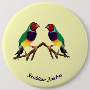 ~ Gouldian Finch ~ Personalized ~ 6 Cm Round Badge