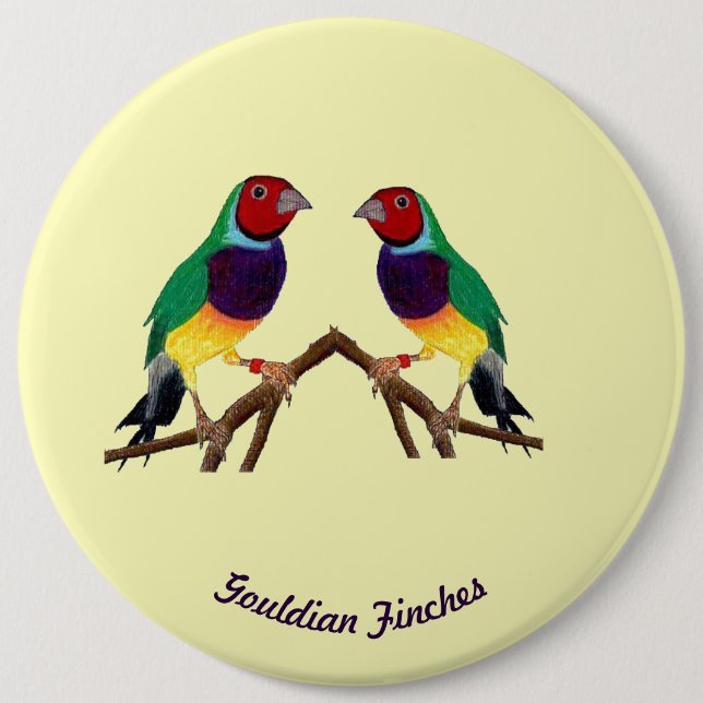 ~ Gouldian Finch ~ Personalized ~ 6 Cm Round Badge (Front)