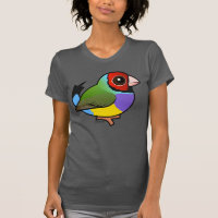 Gouldian Finch