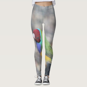 Gouldian morning to you leggings
