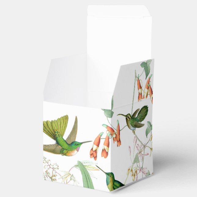 Goulds' Hummingbirds Favour Box (Opened)