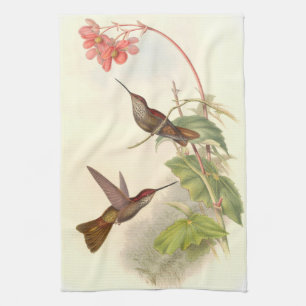 Goulds' Hummingbirds Kitchen Towels