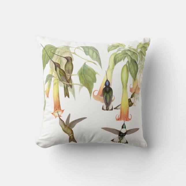 Goulds Hummingbirds Pillow (Front)