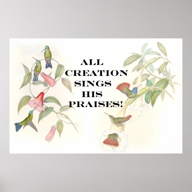 Goulds Hummingbirds Poster (Front)