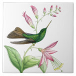 Goulds' Hummingbirds Tile<br><div class="desc">Gorgeous vintage botanical fine art of exotic Hummingbird Birds and habitat Flowers is on this Tile.</div>