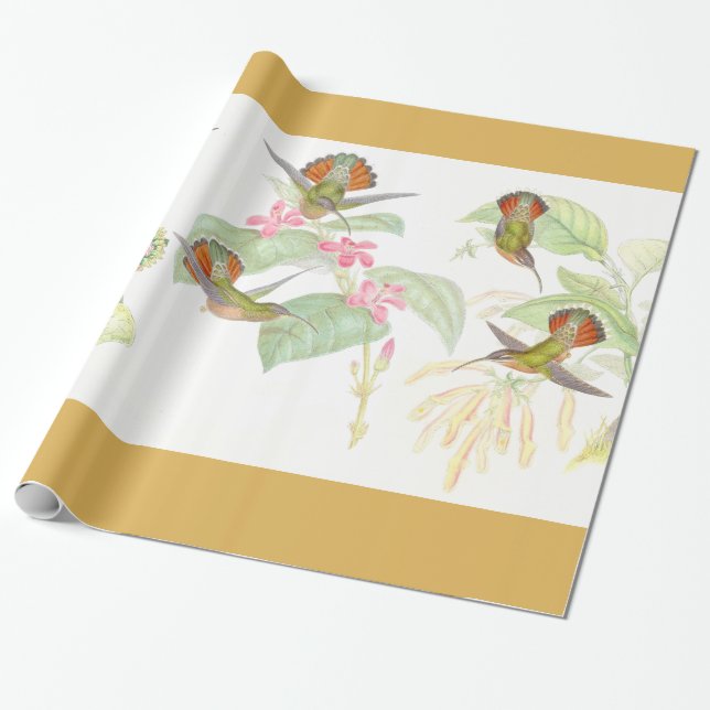 Goulds' Hummingbirds Wrapping Paper (Unrolled)