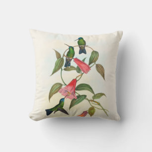 Gould's Wood Nymph by John Gould  Cushion