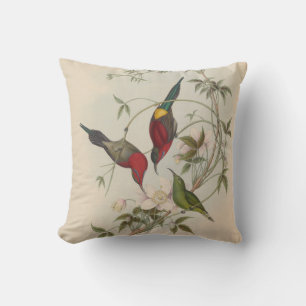 Goulpourah Sun-Bird by John Gould Cushion