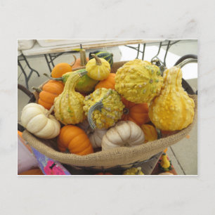 Gourd Basket Postcard