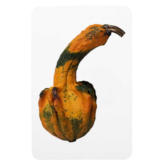 Gourd Photo Magnet (Vertical)
