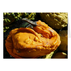 Gourd That Looks Like A Duck
