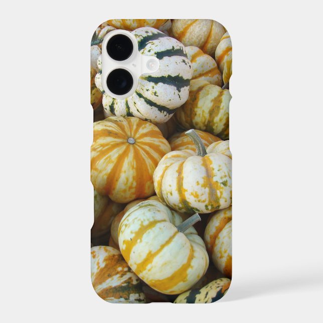 Gourds (Back)