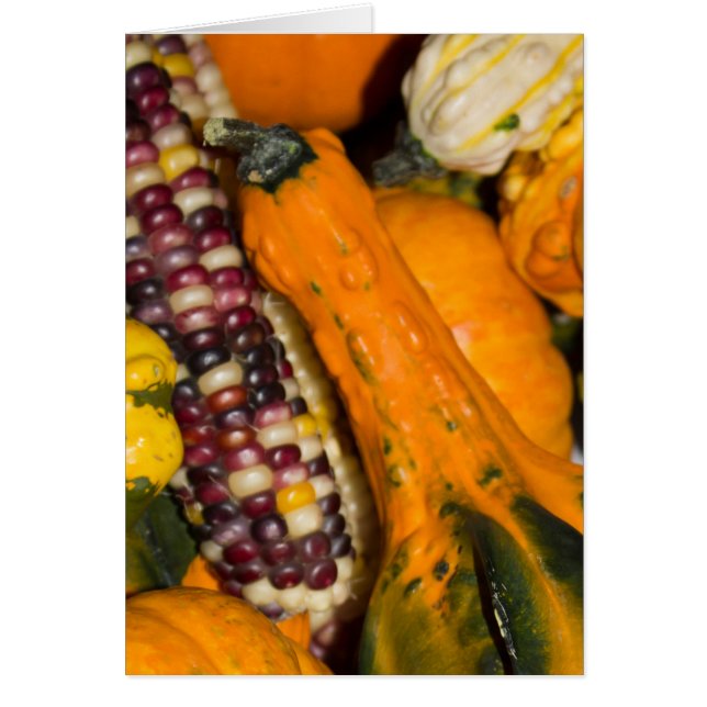 Gourds and Corn Fall Photography Blank-Inside Card (Front)