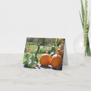 Gourds And Pumpkins Autumn Nature Photography Note Card