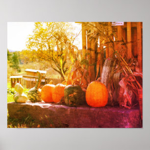 Gourds And Pumpkins Farm Stand Distressed Art Poster