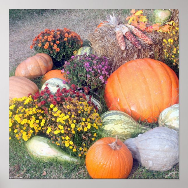 Gourds and Pumpkins Poster (Front)