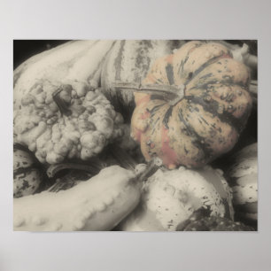 Gourds BW Partial Colour Flower Poster