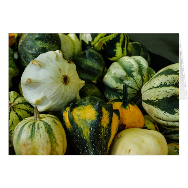 Gourds Galore (Front Horizontal)