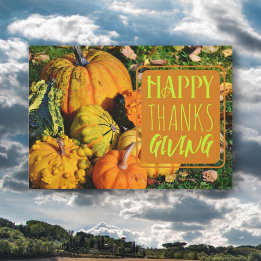 Gourds Happy Thanksgiving Greeting Card