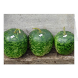 Gourds in A Row