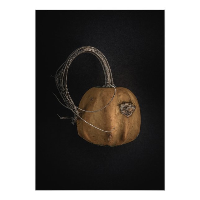 Gourds No 13 Colour Version Photo Print (Front)