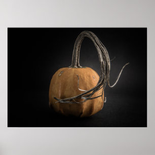Gourds No 14 Color Version Poster
