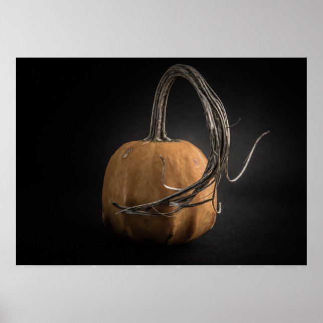 Gourds No 14 Color Version Poster (Front)
