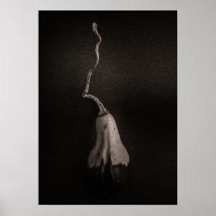 Gourds No 16 Poster