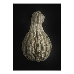 Gourds No 8 Colour Version Photo Print