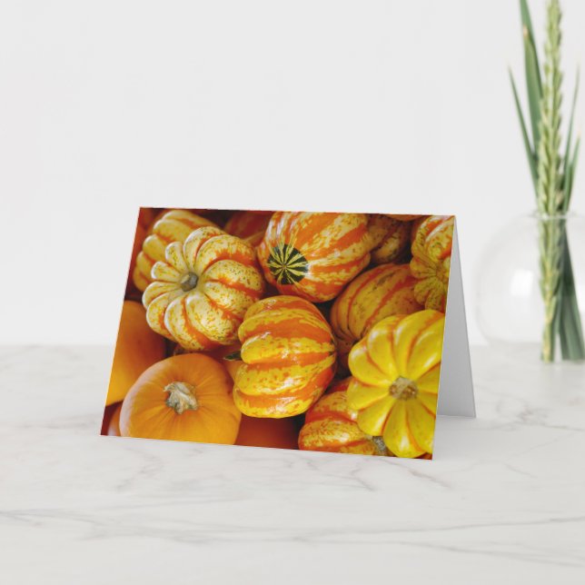 Gourds Pumpkins Fall Autumn Thanksgiving Card (Front)