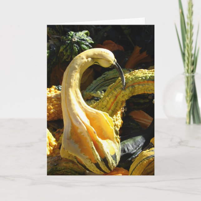 Gourds, Thanksgivng for Friend Holiday Card (Front)